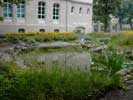 Teich des "Geschwister Scholl" Gymnasium Sondershausen